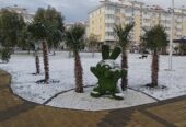 Бархатные сезоны. Семейный квартал